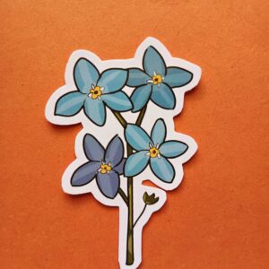 Forget-me-not