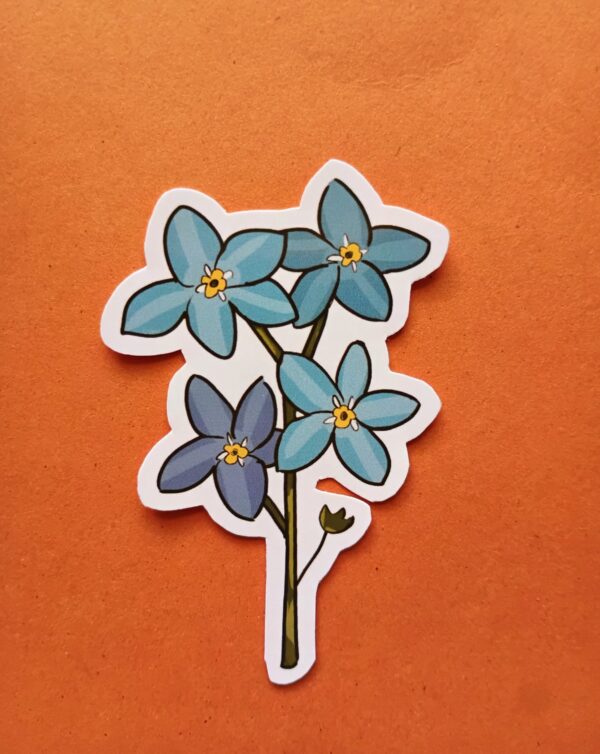 Forget-me-not