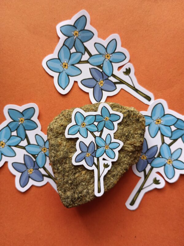 Forget-me-not - Image 2